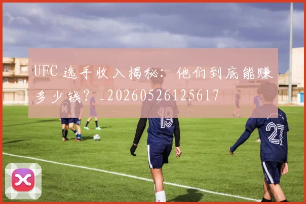 UFC 选手收入揭秘：他们到底能赚多少钱？_20260526125617